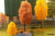full_00140
