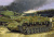 7012_rd