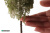 full_011-dup-020-1