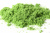 full_maket-listva-porolon-3