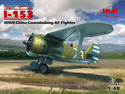 ICM 48099